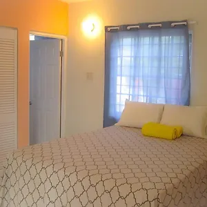 Camelia Homestay Kingston